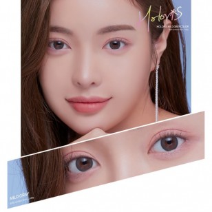 Holoris Mild Gray(日拋)